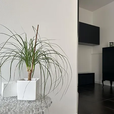 Corte Del Gelsomino - Reception Apartment Triest